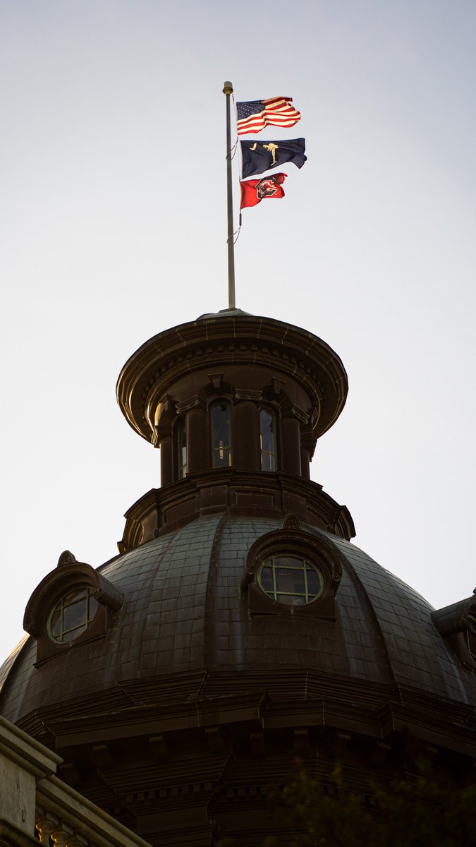 henrymcmaster's tweet photo. The @UofSC flag is proudly on display over the State House today in recognition of the @GamecockWBB National Championship victory last night. 

Go Gamecocks! https://t.co/03tQp4d3WH