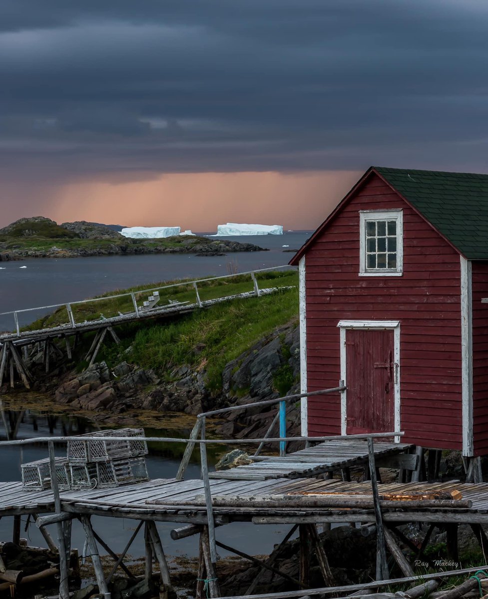 Come join Team Zissou in St. John's, Newfoundland 🇨🇦 researching ecosystem, fisheries, &amp; climate change questions!

Fully funded #PhD scholarship in Fisheries Science 
<a href="/marineinstitute/">Marine Institute, Memorial University</a> <a href="/MemorialU/">Memorial University</a>
 
Check out thelifeaquatic.xyz to see more of who we are &amp; what we do ⚓️🧜‍♀️🧜🐳