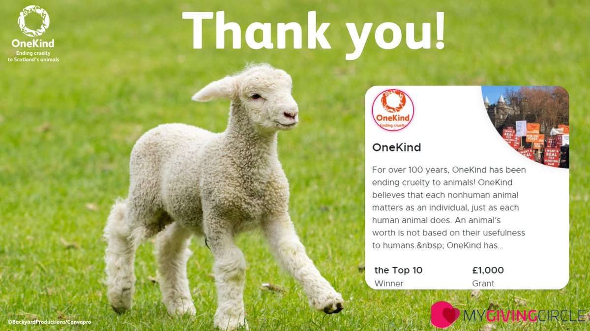 Thanks to your votes &amp; donations, we have won £1,000 from <a href="/MyGivingCircle/">MyGivingCircle</a> which is amazing! 🧡

The next grants round is open, so please continue to vote FREE each week. The more we raise, the more we can do to end cruelty to animals.

mygivingcircle.org/onekind

Thank you!