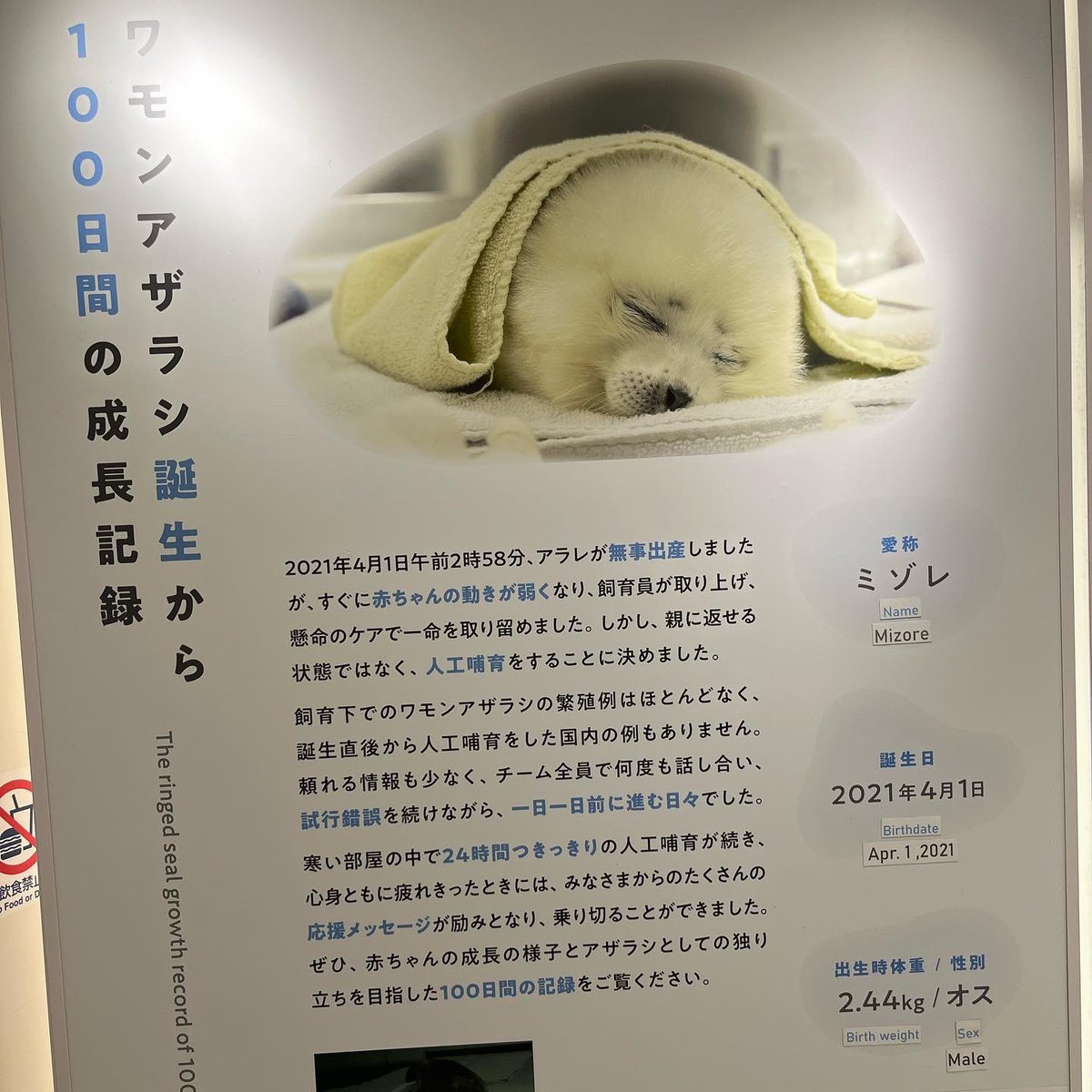 幽体離脱？ アラレちゃんとユキちゃんw笑顔の奇跡写真撮れた✨ アラレ