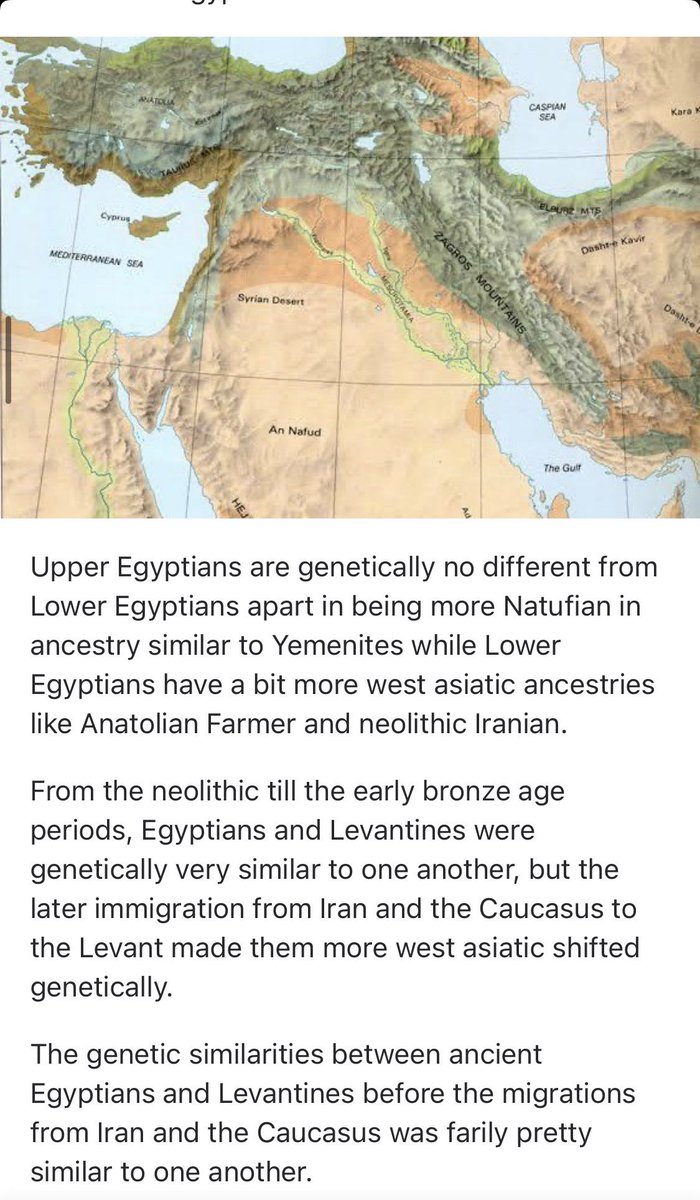 Akkadian_V12's tweet photo. يختلف سكان صعيد مصر وراثيا كونهم نطوفيين في أسلاف مشابهين لليمنيين عن المصريين على الساحل البحري.
كان المصريون والمشرقون متشابهين وراثيا مع بعضهم البعض،حتى قدوم الهجرة من إيران والقوقاز إلى بلاد الشام ومن ثم إلى الساحل البحري لمصر خلال العصر الحجري الحديث حتى أوائل العصر البرونزي https://t.co/Q1Hu326pST