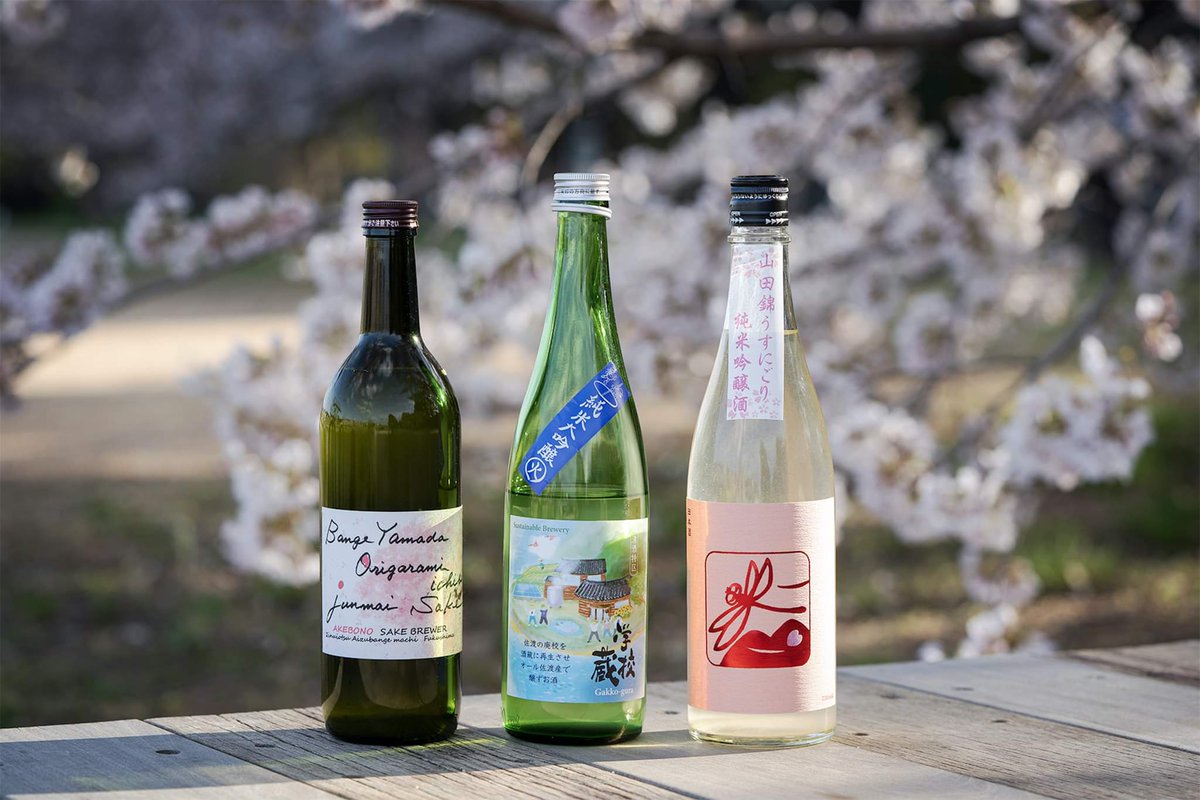 kanpaiplanet's tweet photo. Great to see fellow Gakkogura student @LetsTravelndEat enjoying the sake I made (centre) at hanami on the riverbanks of Kyoto!

Watch a #Sake Professional taste test it here: https://t.co/46X6wuxBSp

...and watch the full 'Making Sake on Sado' series here: https://t.co/RHYkNU7QrA https://t.co/R9PMrOlxWW