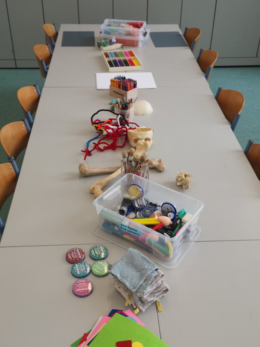 cikulow's tweet photo. First week back #anatomylessons #artandanatomy alternative methods to support med students learn anatomy. We love colour. https://t.co/VWRQi7i3PP
