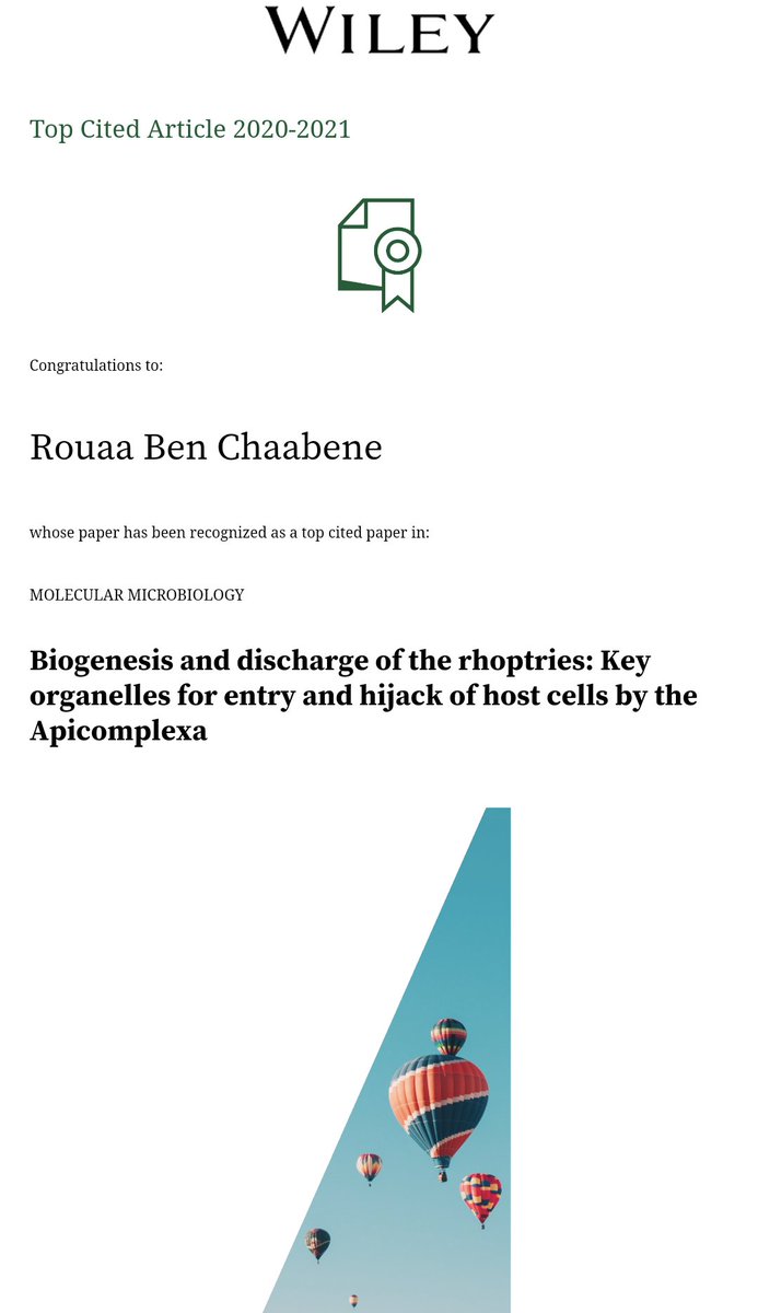 Rouaa BC tweet media