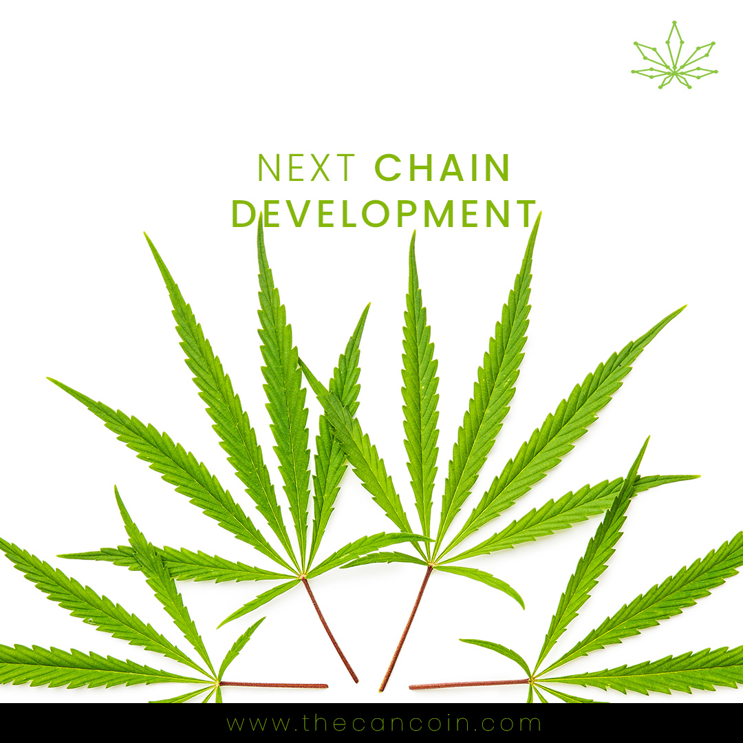 thecancoin's tweet photo. Yes you read it right! Next #chaindevelopment. We're talking with several parties to decide what chain fits best for #TheCanCoin 

#CANNA #DeFi #CeFi #CanCoin https://t.co/XxSbjFlXi8