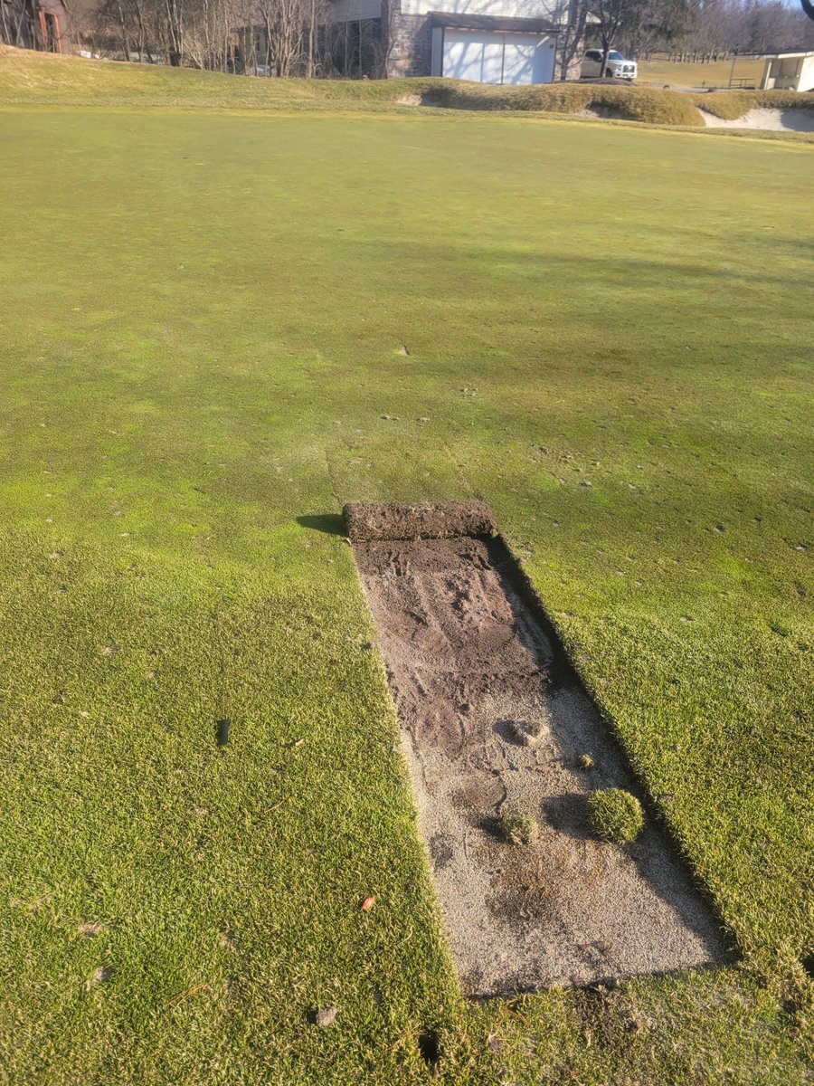 Kawartha Golf Club Turf Department tweet media