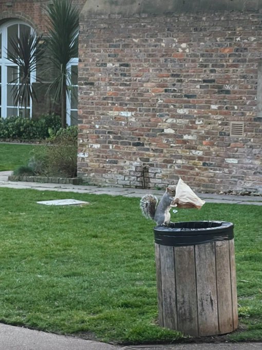 Someone is hungry https://t.co/uvB8kN0suN<a href="/tag/k"class="tags"><span>#k</span></a>