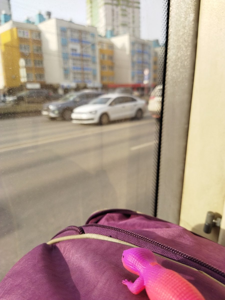 PAPERCuP_p's tweet photo. Это гикончик Мишаня, и он очень любит смотреть в окно https://t.co/HNSsyw5hjy