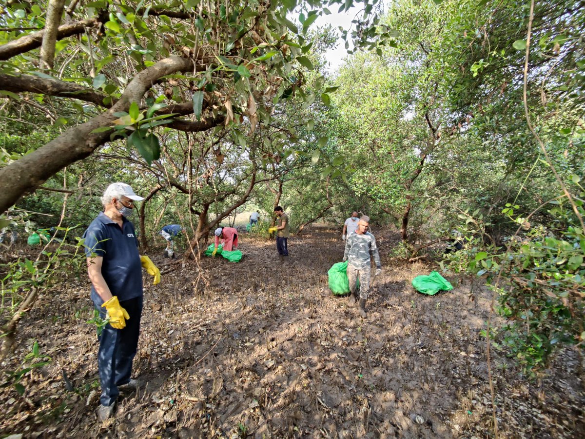MangroveForest's tweet photo. Today's Mangrove Clean-up drive was conducted with Tata Power, &amp; Team @withthemforthem at Bhandup Pumping Station area.

https://t.co/eOVHPFYkVS
@vrtiwari1 @NeenuSomaraj @AdarshReddyIFS @MahaForest @AUThackeray @ImRo45 @RandeepHooda @MahaDGIPR  @CMOMaharashtra 
@deespeak https://t.co/htuhMoeBzv