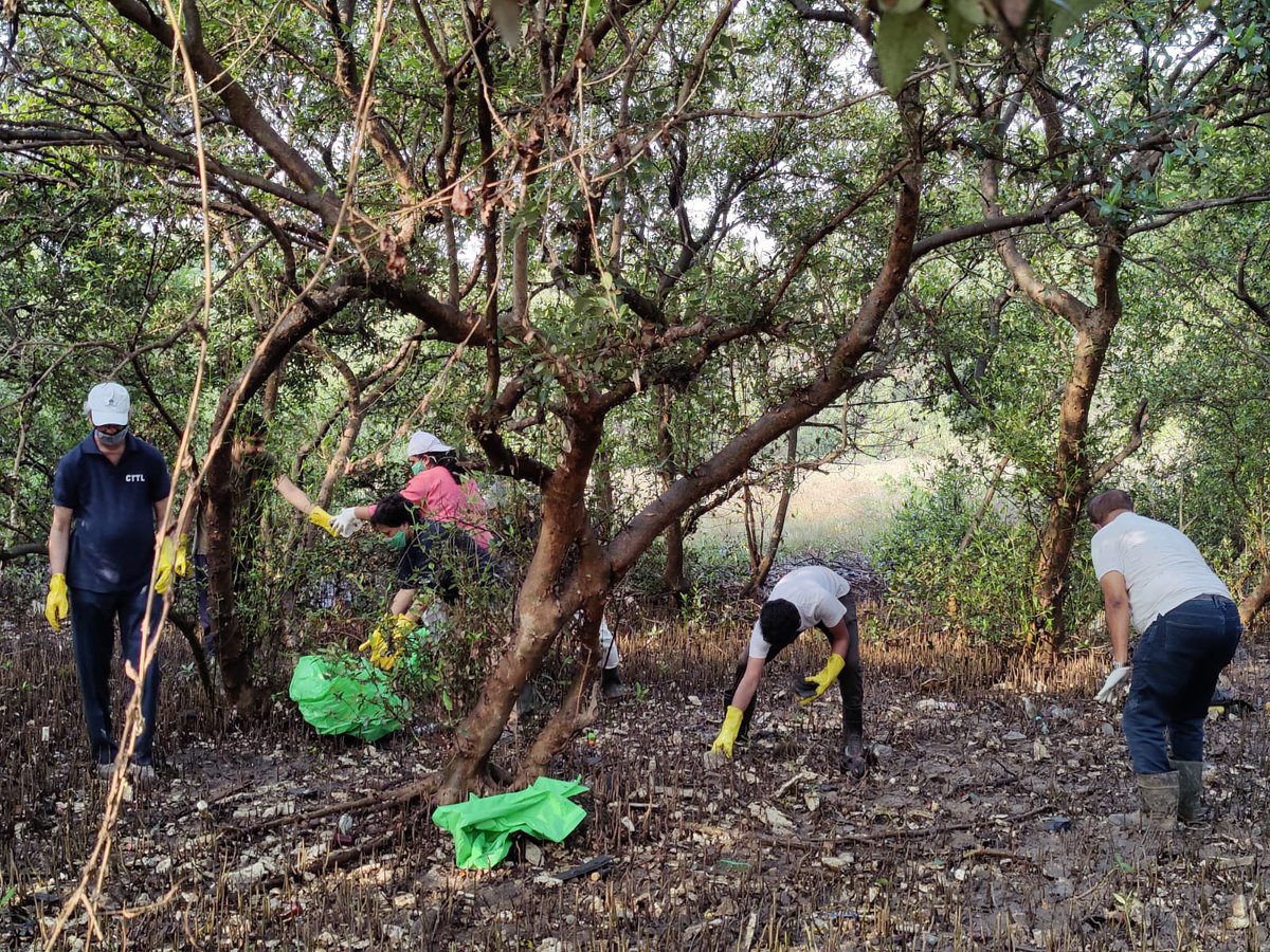 MangroveForest's tweet photo. Today's Mangrove Clean-up drive was conducted with Tata Power, &amp; Team @withthemforthem at Bhandup Pumping Station area.

https://t.co/eOVHPFYkVS
@vrtiwari1 @NeenuSomaraj @AdarshReddyIFS @MahaForest @AUThackeray @ImRo45 @RandeepHooda @MahaDGIPR  @CMOMaharashtra 
@deespeak https://t.co/htuhMoeBzv