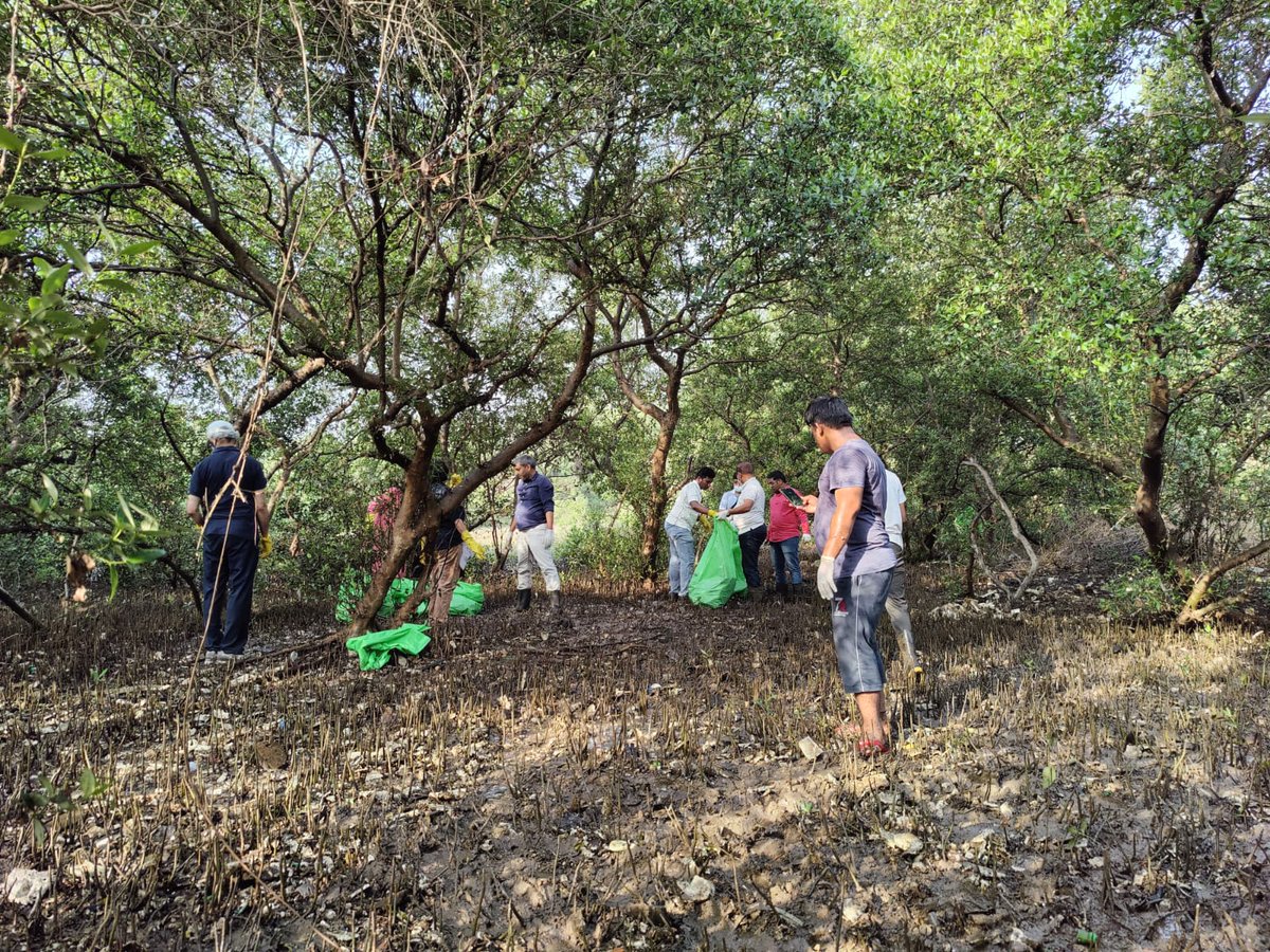 MangroveForest's tweet photo. Today's Mangrove Clean-up drive was conducted with Tata Power, &amp; Team @withthemforthem at Bhandup Pumping Station area.

https://t.co/eOVHPFYkVS
@vrtiwari1 @NeenuSomaraj @AdarshReddyIFS @MahaForest @AUThackeray @ImRo45 @RandeepHooda @MahaDGIPR  @CMOMaharashtra 
@deespeak https://t.co/htuhMoeBzv