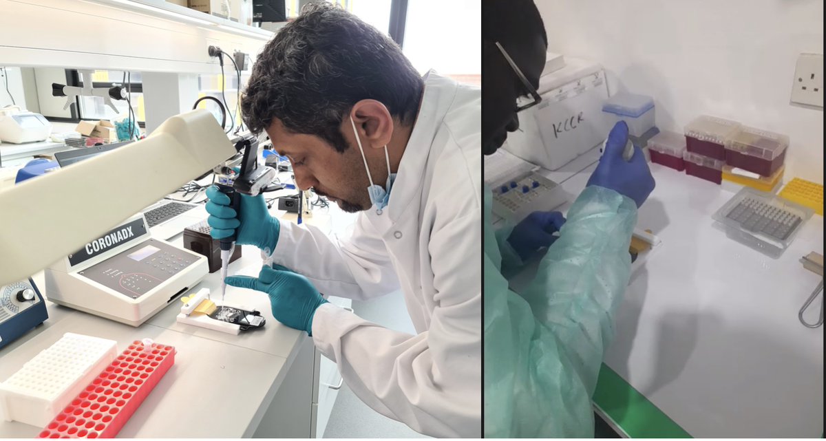 VIVALDI POC technology applied in the fight against COVID-19 in Africa
afridx.ceb.cam.ac.uk/news/afridx-cl…