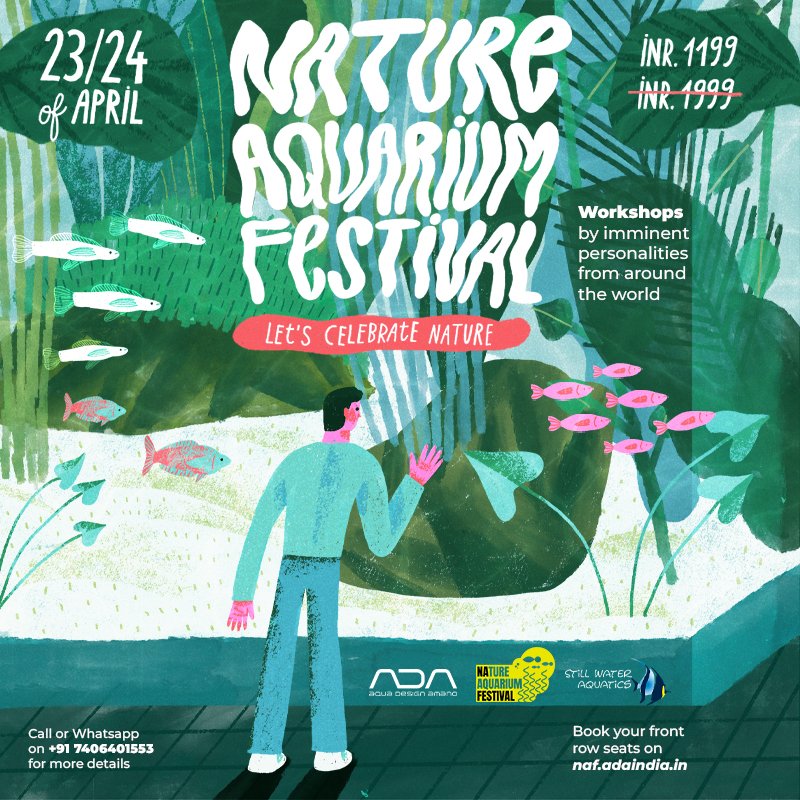 StillwaterAqua's tweet photo. The annual event we've all been waiting for is here!
Visit https://t.co/qfcwO2F666 to learn more about the #NatureAquarium Festival.

#aquascaping #nature #plantedaquariums #AquaticPlants #Underwater #plantparent #indiaevents #ADAIndia #Nature #workshops #plantedaquarium https://t.co/ece8Dwi34n