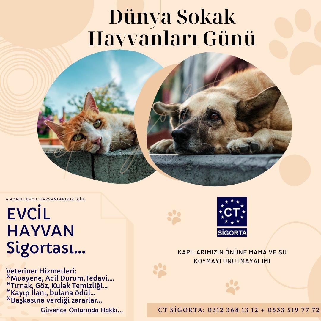 ctsigorta's tweet photo. Evcil Hayvanlarımızda Sigortalı; dostumuza gelecek ve onunda vereceği zararlara karşı, Sigorta Güvencesi altına alır..
 #sigortaacentesi #dünyasokakhayvanlarıgünü #sokakhayvnlar #evcilhayvansigortası #sokakhayvanları #sokakhayvanlari #sokakhayvanlarısahipsizdeğil #dogecoin https://t.co/UD5b0Ux6wO