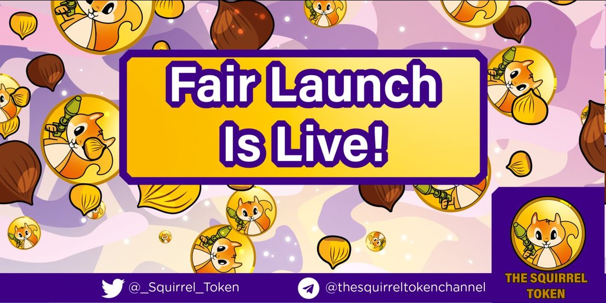 We’ve just locked Liquidity Pool forever! 🎉

What does that mean?

#SquirrelToken is rug pool free ✅

➡️ See transaction of LP Token burn bscscan.com/tx/0xd3d3ea6f3…

If you don’t feel comfortable now, when will you?

After millions of people hear about us in the news?

Your call.