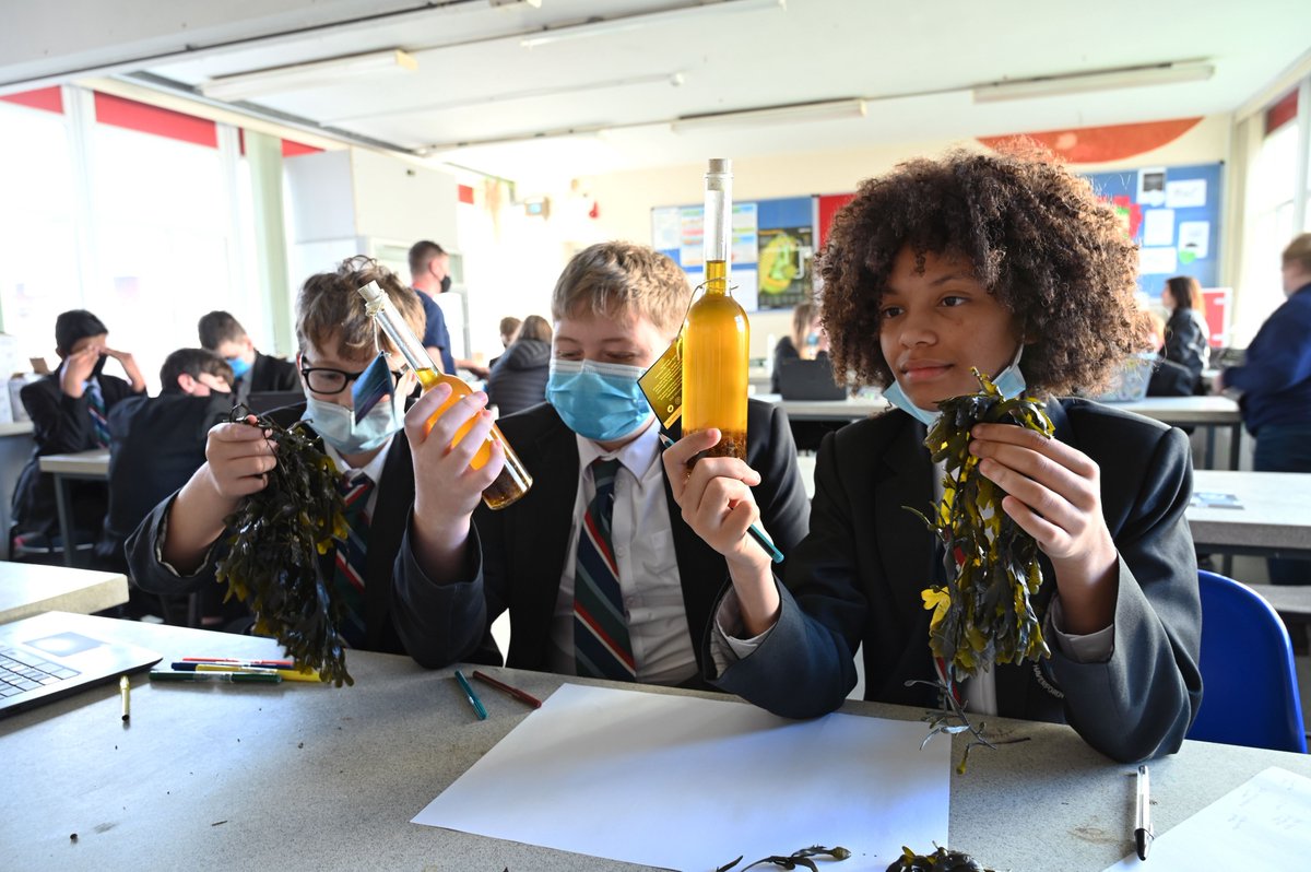 Pembs Coastal Forum tweet media