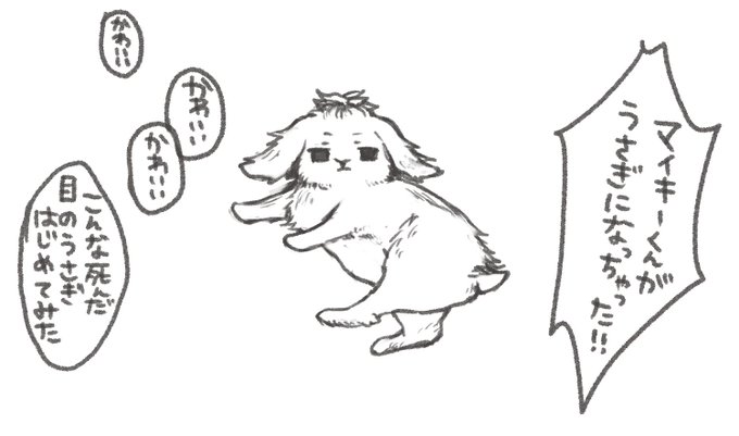 ⚠︎🐰化 