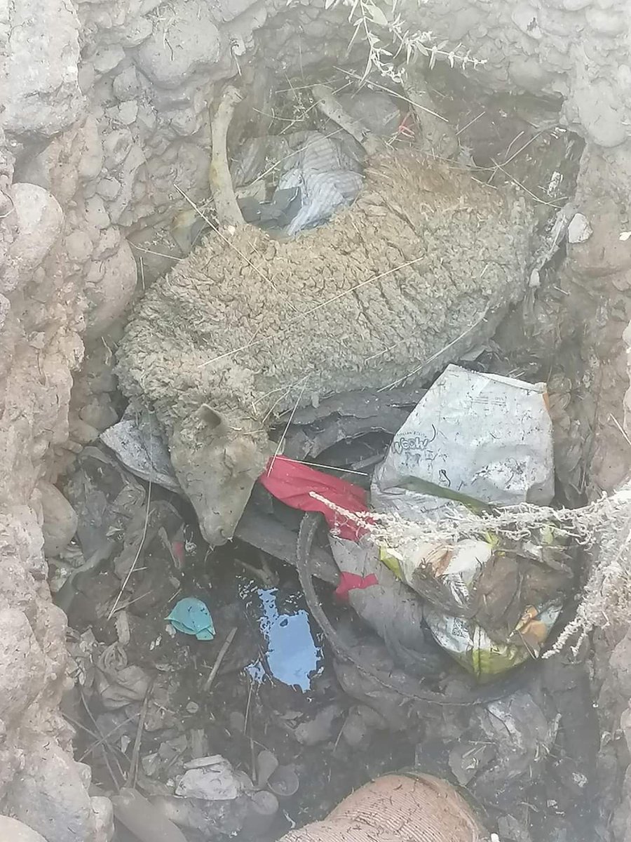 Una lavadita y para la barbacoa  para mi cumple 🥳