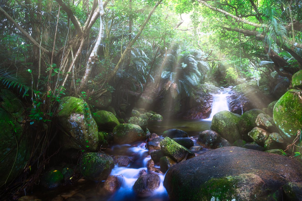 NGO_OKA92's tweet photo. 石垣島、荒川の滝へ。
角度を変えて、ぬるっと6秒で撮影。

 #荒川の滝 
 #���真好きな人と繋がりたい

Lens：#SEL20F18G
📸：SONY #α7C https://t.co/2htdSAgFnZ