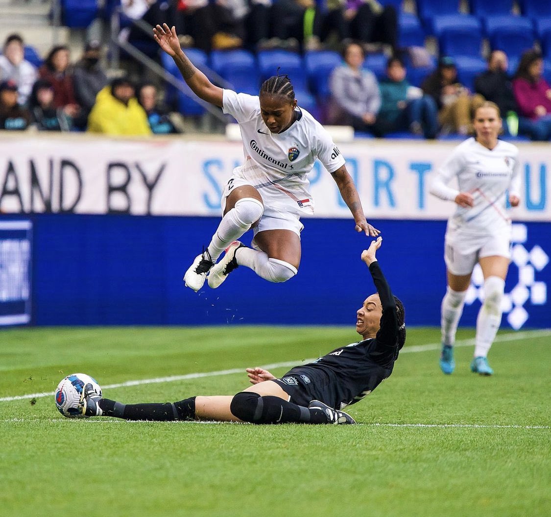 AllezLesLions tweet media