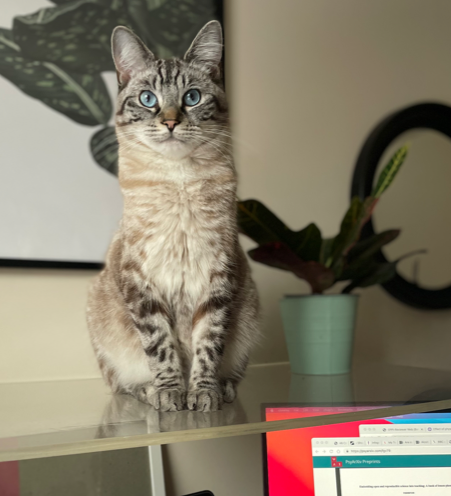 Natasha Clarke tweet media