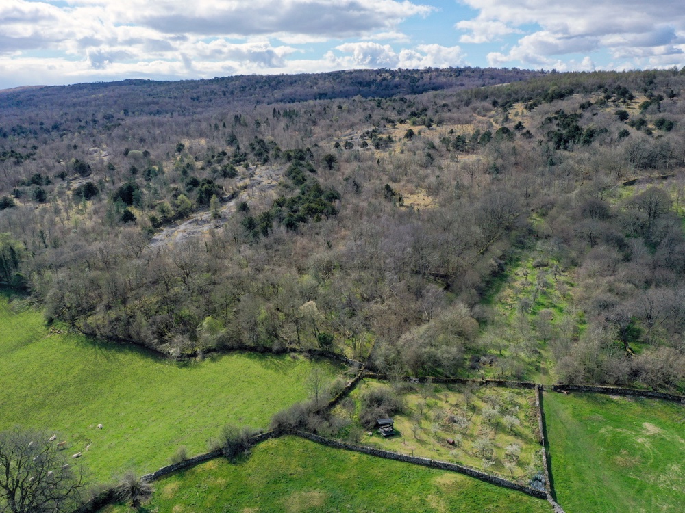 tessabunney's tweet photo. A beautiful drive through the gorgeous Lyth Valley looking for damson blossom. 

#ontheroad #cumbria #damson #lythvalley #localfood https://t.co/BWl3jlEiXB