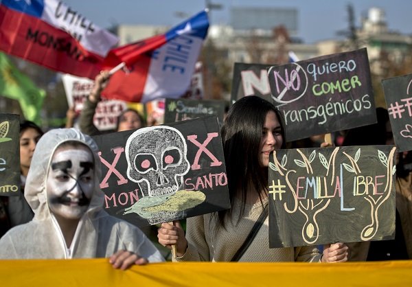 ChileBio_AG's tweet photo. El discurso anti-#transgénicos está perdiendo fuerza en todo el mundo, según sugiere un nuevo estudio que analizó datos de prensa y redes sociales entre 2018-2020 📢
https://t.co/N6n3GK0UoF Vía @ScienceAlly @mark_lynas https://t.co/kQTkR8kt7B