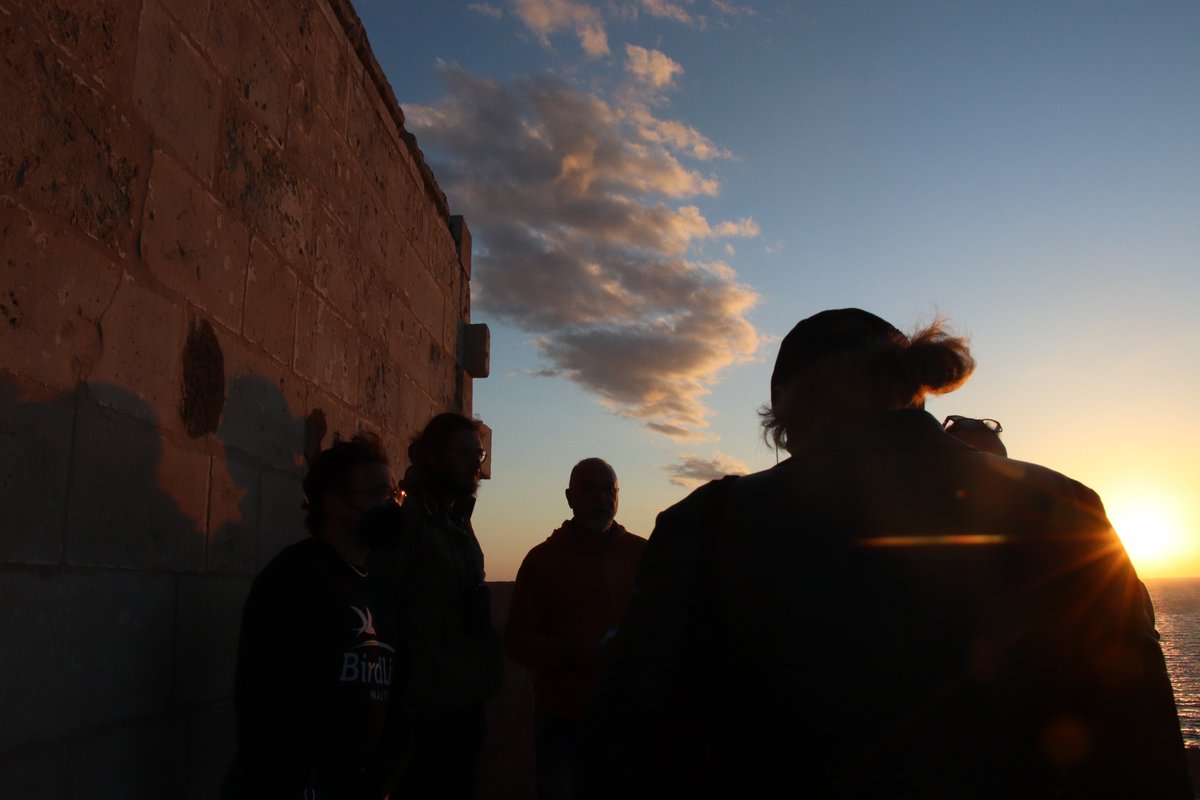 Falko_BirdLifeM's tweet photo. We then succeeded to walk to a nearby cliff's edge to listen out for the #YelkouanShearwaters coming to land to nest at sundown and watched them using a heat sensitive camera. Everyone had a great evening of exploring the rich history and nature of Malta! https://t.co/BZCfNa3Txn