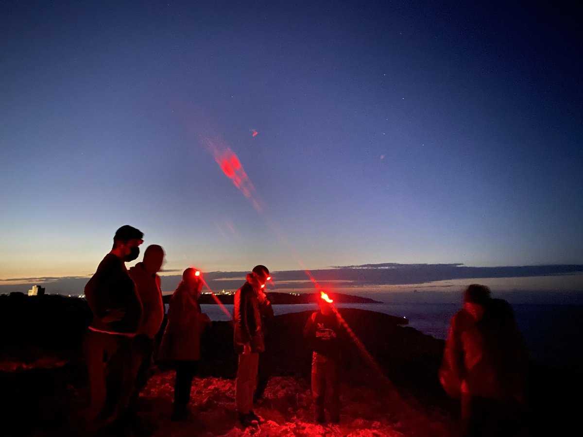 Falko_BirdLifeM's tweet photo. We then succeeded to walk to a nearby cliff's edge to listen out for the #YelkouanShearwaters coming to land to nest at sundown and watched them using a heat sensitive camera. Everyone had a great evening of exploring the rich history and nature of Malta! https://t.co/BZCfNa3Txn
