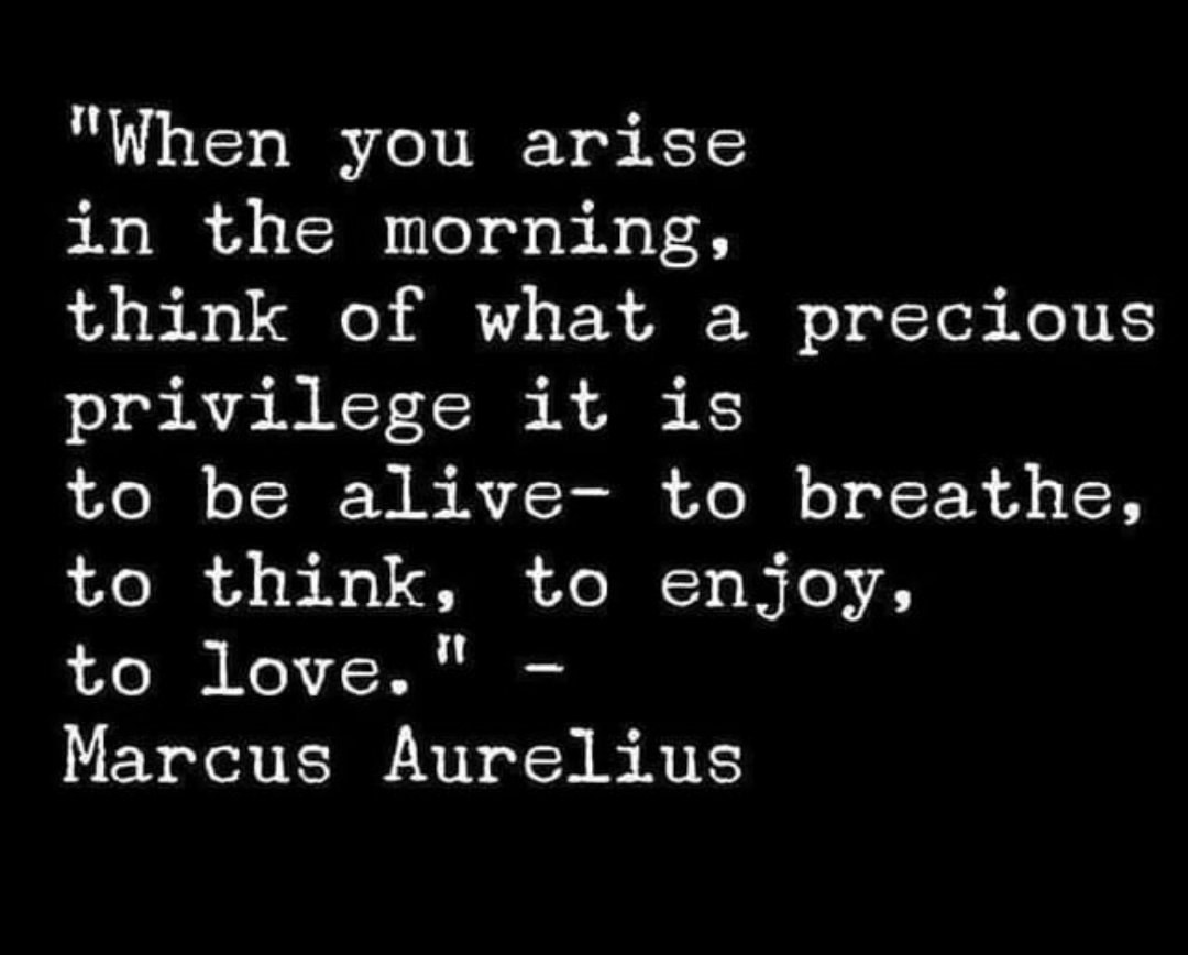 MattColeLCS's tweet photo. Maintaining perspective leads to gratitude which makes all the difference in navigating through the noise of our world.  Far too often we have much more to be grateful for - starting each day with gratefulness to be here gives yourself a gift that enriches your life all day long. https://t.co/Jlzt8zWL0S