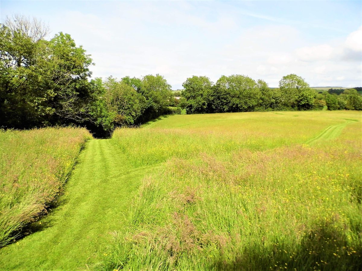dolcoed's tweet photo. #naturists Small, rural &amp; tranquil naturist Caravan &amp; campsite, friendly, clean &amp; modern, New heated pool for 2022. Don't miss out, Call 01559 395820 to Book or email jo@dolcoed.co.uk 
@britnaturism @HEnaturist
@UKNaturism https://t.co/ngIPaThkaB