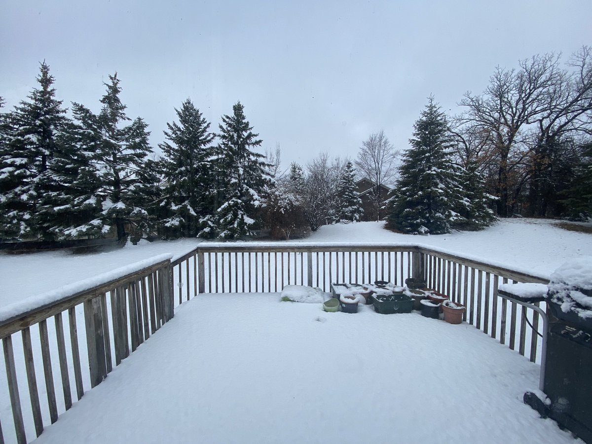 NinjaNoh701's tweet photo. At this point, I’m not surprised anymore. ❄️ https://t.co/TgBbSiiwIw