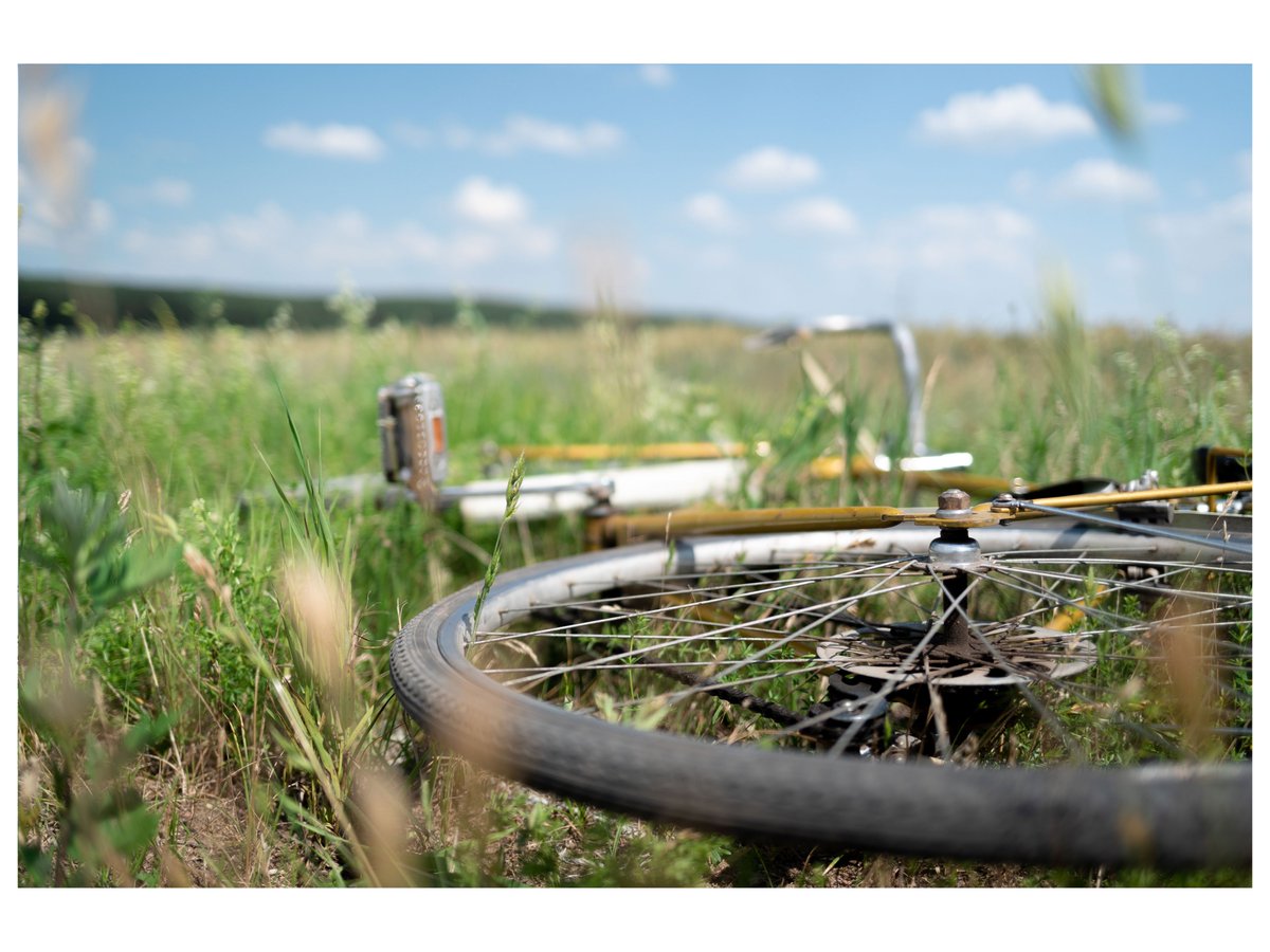 hleblat's tweet photo. Summer's vibe in the Belarus.
#summer #belarus #photography #relax #meditation #freedom #nature #outdoor #lifestyle #SonyAlpha @Lightroom #cinematic #landscape https://t.co/qtb3eN4HRo