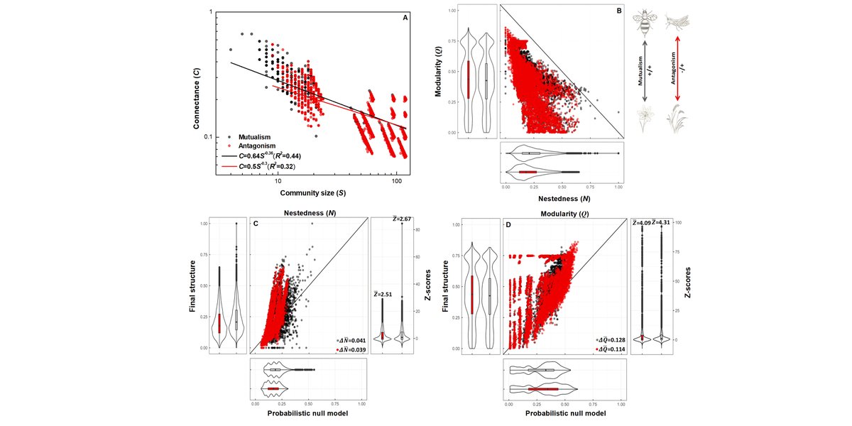 ESAEcology's tweet photo. New in @ESAEcology:
A patch-dynamic metacommunity perspective on the persistence of mutualistic and antagonistic bipartite networks
https://t.co/z8NPME7Qpe
With #OpenData in @datadryad
#Metacommunities
#EcologicalNetworks
#EcosystemStability https://t.co/Oq5QrJGzO3