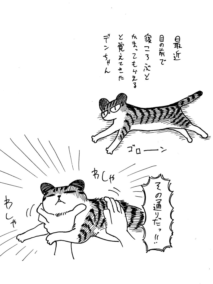 4/4
日記要素 
