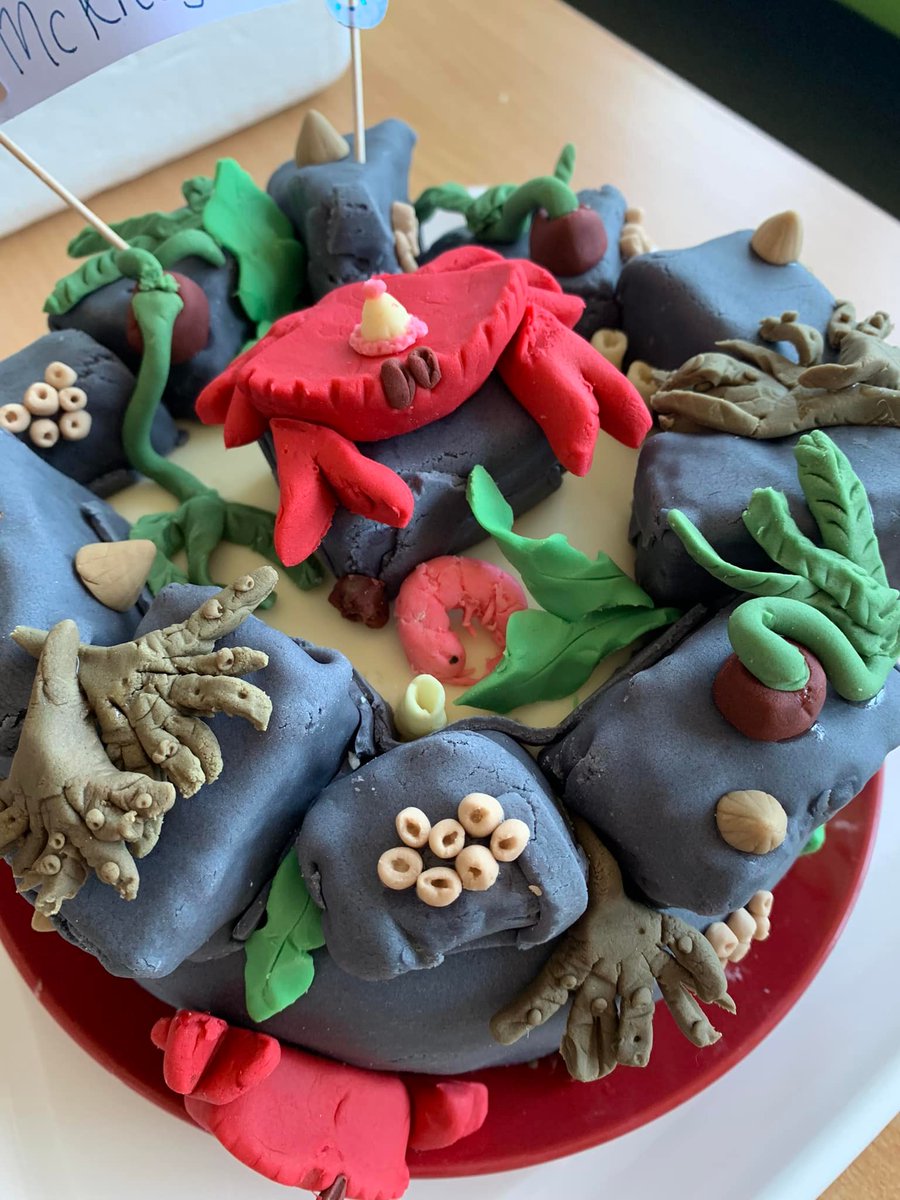 Louis_lips's tweet photo. A little late but definitely needs a mention. After way too much time, effort and stress, I became Dr McKnight.
Couldnt have done it without the endless support of my wonderful supervisors @M_Rius_ @AmandaEBates and the great PGRs of @unisouthampton &amp; NOC. Its been an experience! https://t.co/kAwGu5bYsK