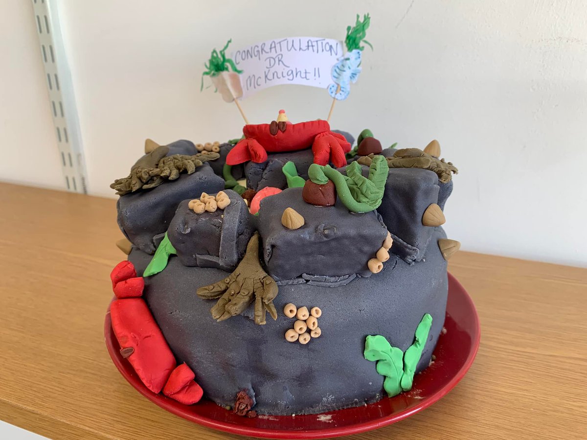 Louis_lips's tweet photo. A little late but definitely needs a mention. After way too much time, effort and stress, I became Dr McKnight.
Couldnt have done it without the endless support of my wonderful supervisors @M_Rius_ @AmandaEBates and the great PGRs of @unisouthampton &amp; NOC. Its been an experience! https://t.co/kAwGu5bYsK