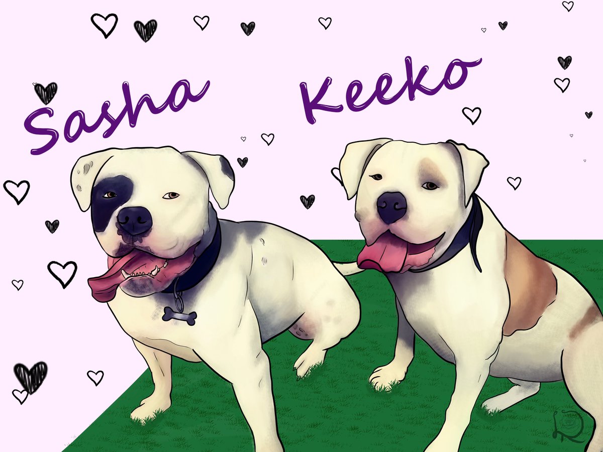 ComicsRose's tweet photo. Any of my artsy friends out there got any clue what you should charge when someone commissions a pet portrait? 
This is what they look like https://t.co/xLXyfKobpJ