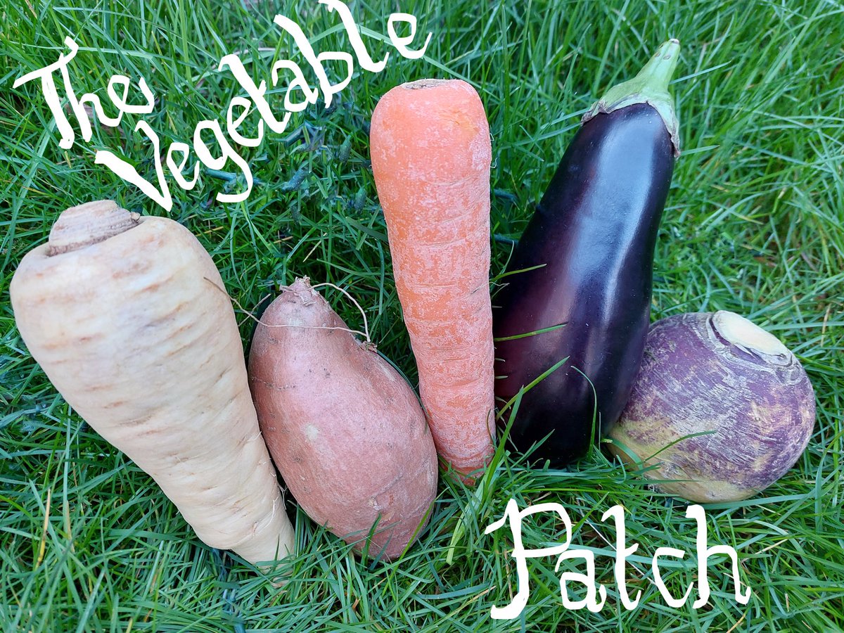3MenopMaids's tweet photo. Listen to BBC Radio Essex this Thursday at 8.30pm to hear the debut of 3MMs hilarious new radio sketch ‘The Vegetable Patch’  
Here’s the link https://t.co/KUXv28jP7a    #newwriting #radioshow #comedy #radio #laughter https://t.co/AJlMK7KZCm