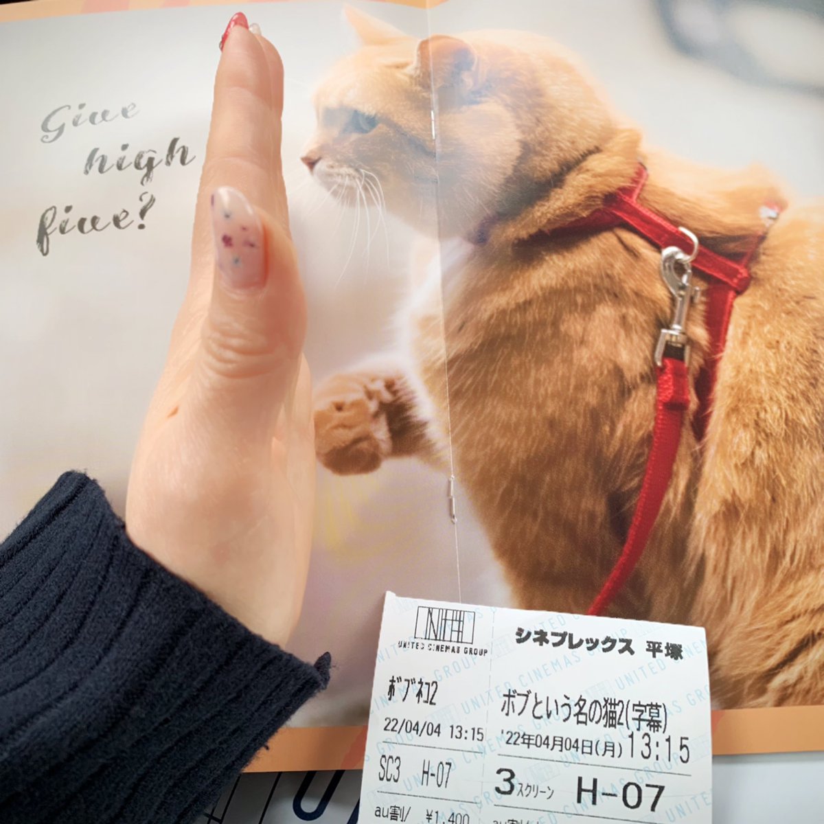 Rie86543782's tweet photo. ようやく念願の映画を観てきました「ボブという名の猫2」猫好きボブ好きにはたまらない♡ボブの可愛さとゴロゴロ、そして温もりに心やられます。
#休日 #映画鑑賞 #おひとりさま #ボブという名の猫2幸せのギフト #ボブ猫2 #私もやりたかった #幸せのハイタッチ #givehighfive #一緒なら強くなれる https://t.co/LgRJKQUAkw