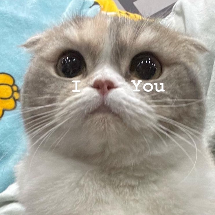 วันนี้มีคนบอกรักอะยัง💖