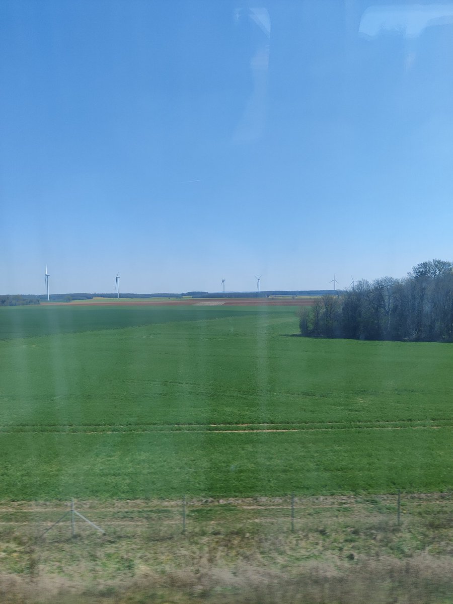 Reoptimize Systems tweet media