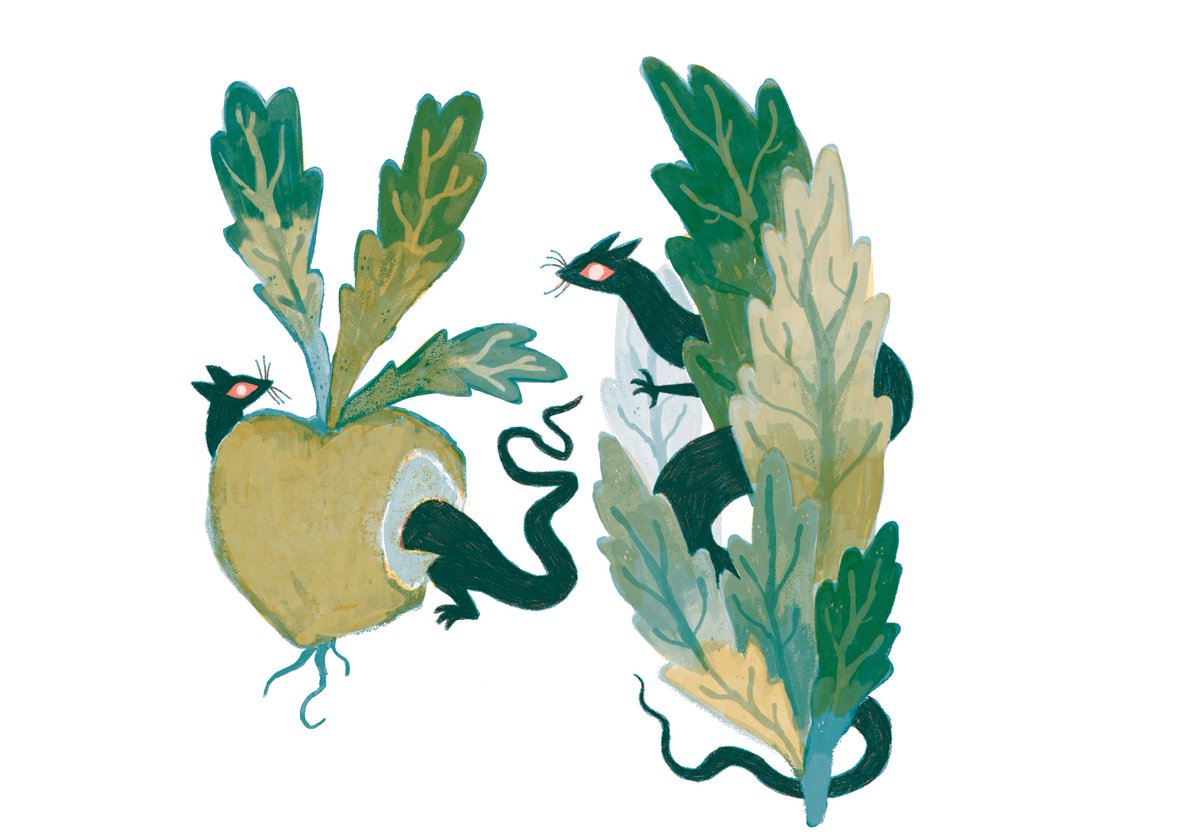 more lettuce men