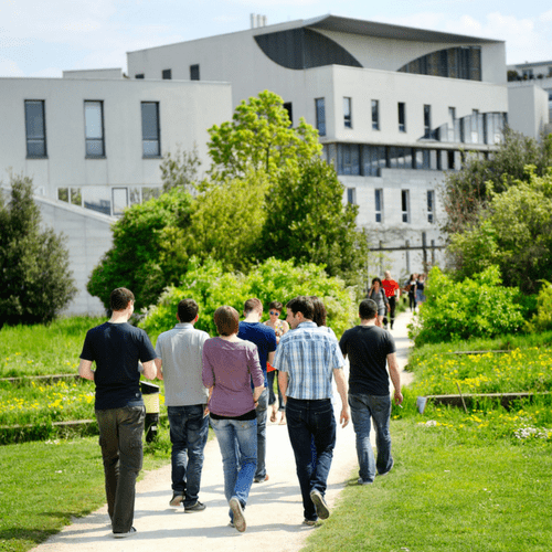 Registrations are now opened for the Xth International Plant Biomechanics Conference, which will be held in Lyon from the 22nd to the 26th of August 2022. More infos: plantbiomech.sciencesconf.org