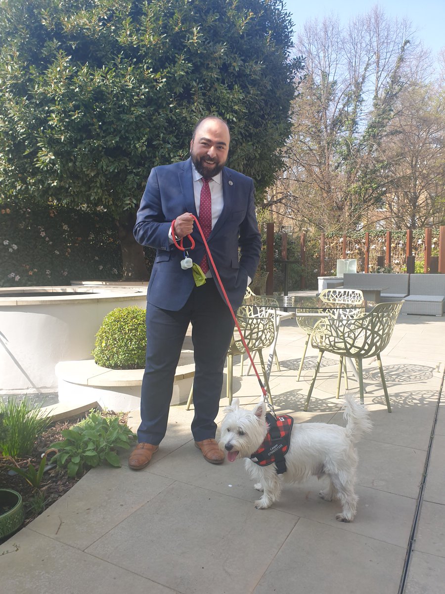 We are delighted to be able to welcome your furry friends to our dog friendly Morton and Bedford Hotels! 

With lots of wonderful parks and green spaces on our doorstep, we are perfectly located for a city break with your canine companion🌳
#dogfriendlyhotels #petfriendly