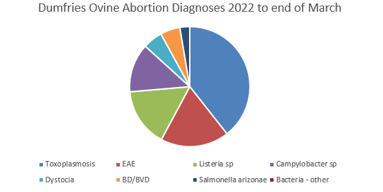 FlockHealth's tweet photo. Well this is an interesting email from @SRUCVets - based on 70 abortion submissions to Dumfries this year - notice Toxo higher than EAE &amp; Listeria higher than Campylobacter - both unusual findings.  
Also note significant Border/BVD numbers.
Always worth getting a diagnosis! https://t.co/D8sVSGlbUT
