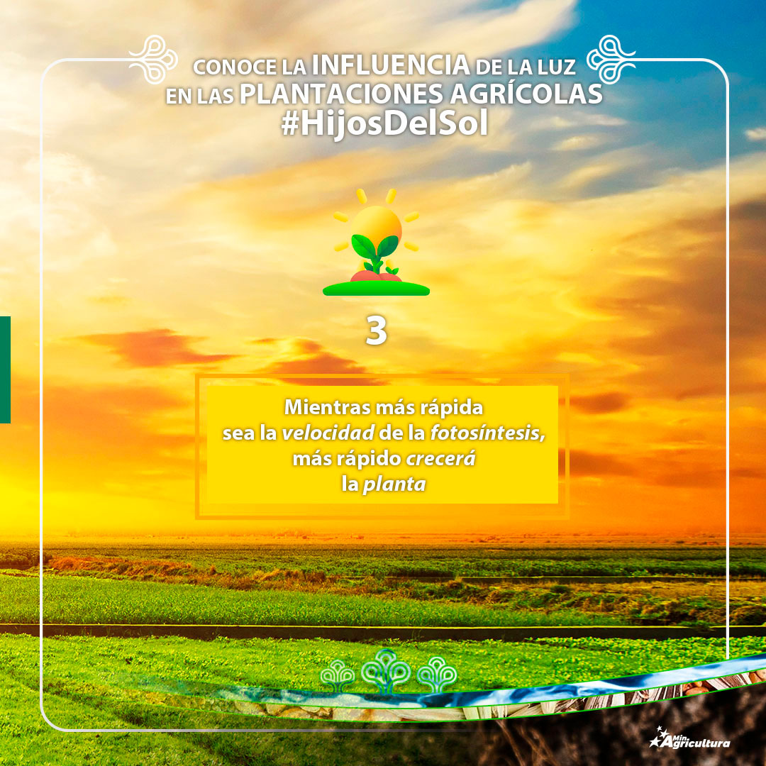 BancoAgriVzla's tweet photo. #4Abr Es lunes de #AgroDatos, tips que contribuyen, en pro de una buena siembra y cosecha

La Influencia de la luz 🌞 en las plantaciones agrícolas.

Te invitamos a conocerlas 📲

#LaBancaDelAgrícultor 
#LiberenAAlexSaab 

@MinAgriculturaV 
@wcastroPSUV 
@nfaraco https://t.co/dDSZcXL7SL