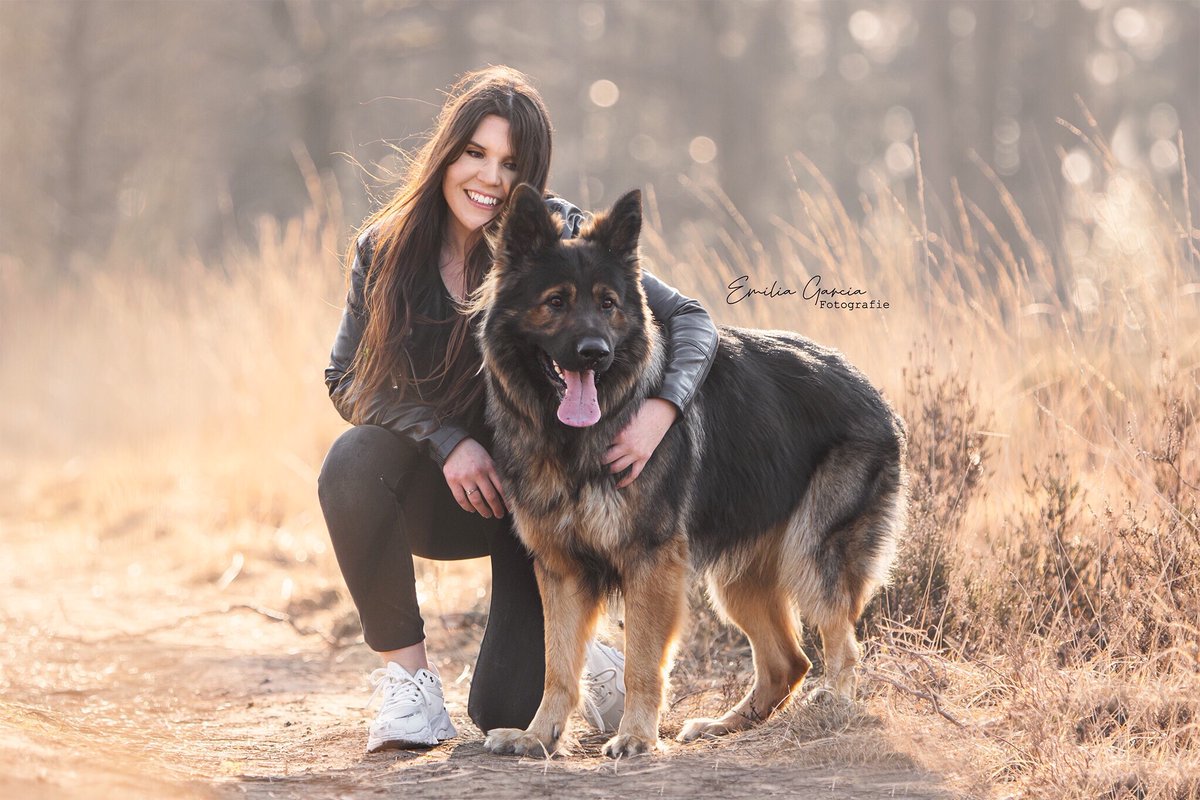 My other half 🤍

#DogsofTwittter #dogsoftwitter #dogsofinstagram #GermanShepherd #BestFriend