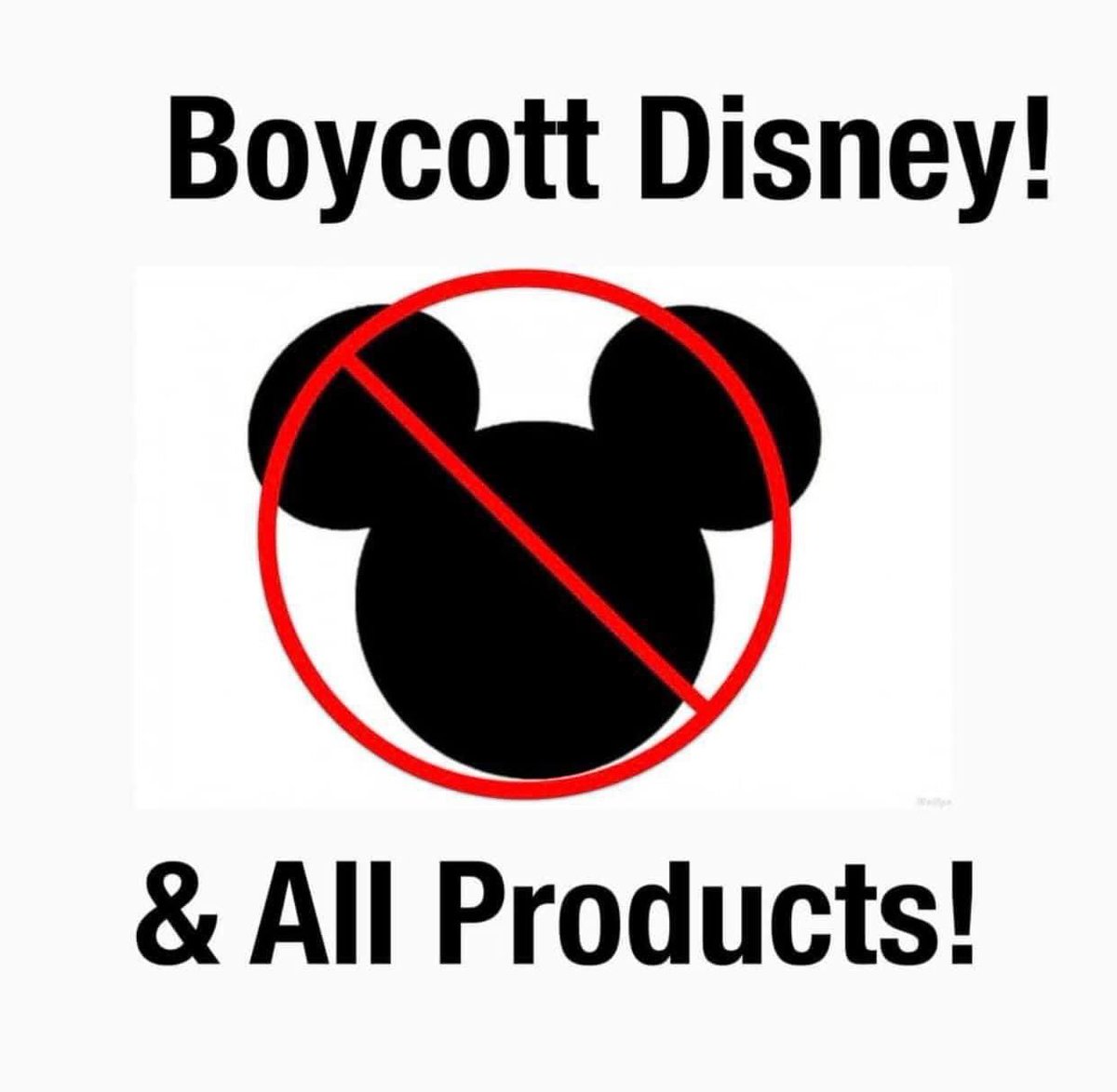 Txcrusader65cm's tweet photo. Dump Disney!
Dump ESPN!
Dump perversion!
Dump perverts!
.@Disney
.@DisneyStudios
.@disneyplus
.@WaltDisneyWorld
.@WaltDisneyCo
.@DisneyParks
.@espn
#kareyburke
#DumpDisneyStock
#DumpDisney
#dumpespn
#byedisney
#BoycottDisney
#BETO https://t.co/9xj962jPF0