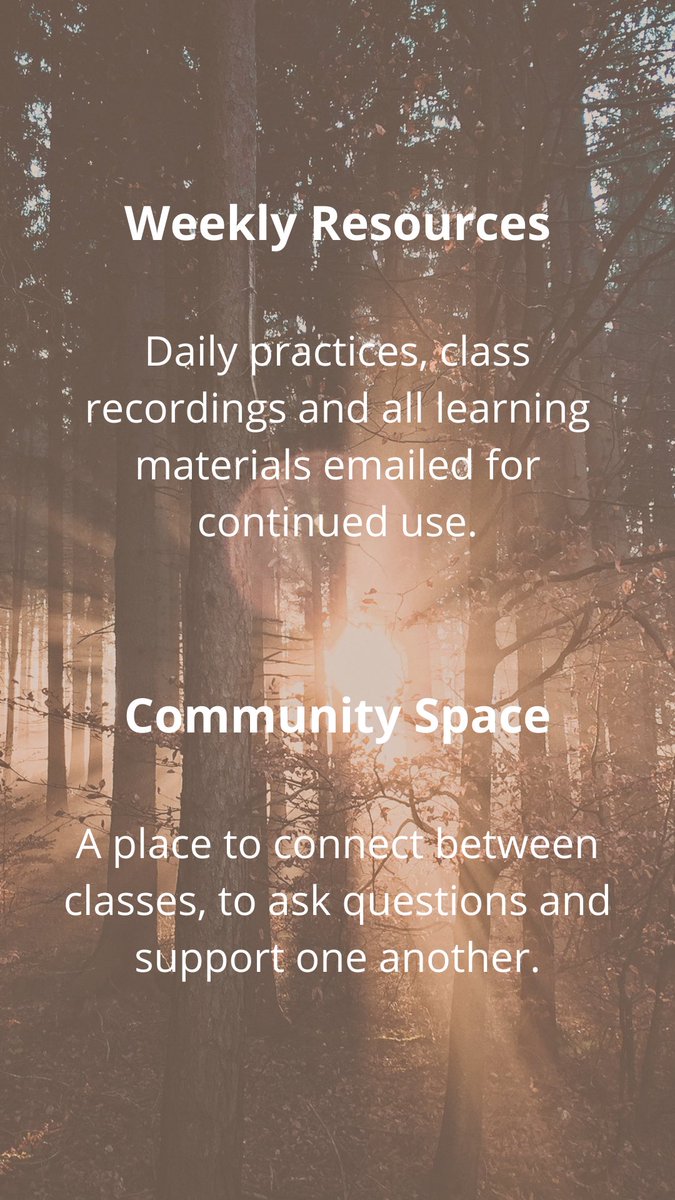 BloomWithJenn's tweet photo. Brand new online program within a small compassionate community for deeper connection and support.  Soothe your nervous system and deepen your self care learning many sacred practices together.  See more here:  https://t.co/Llpd5Sekai https://t.co/0mDJ2J2mny